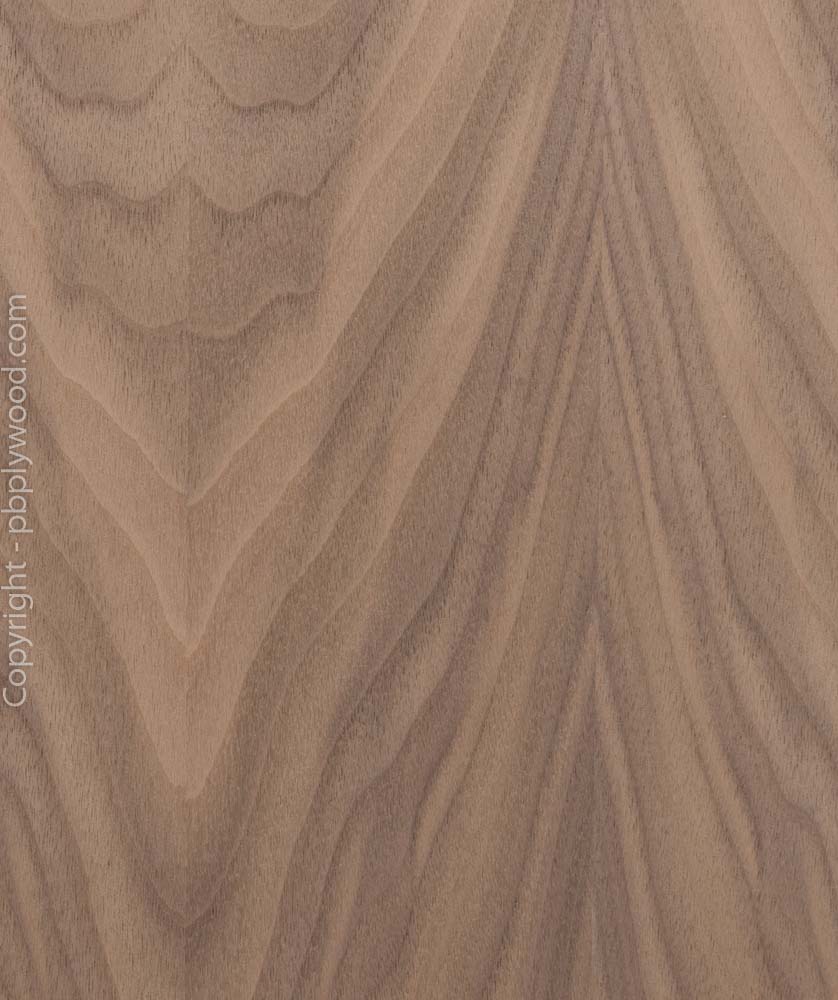 American Black Walnut Veneered Birch Plywood Peter Benson Plywood Ltd